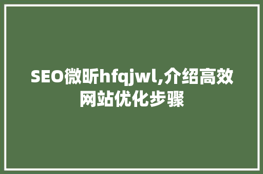 SEO微昕hfqjwl,介绍高效网站优化步骤