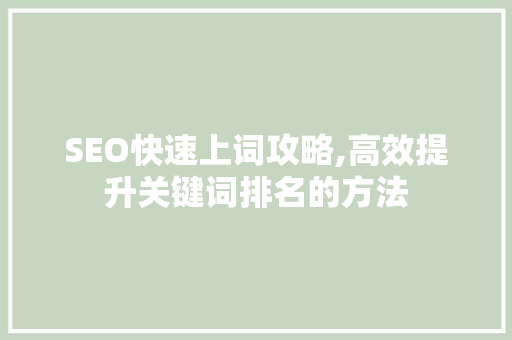 SEO快速上词攻略,高效提升关键词排名的方法
