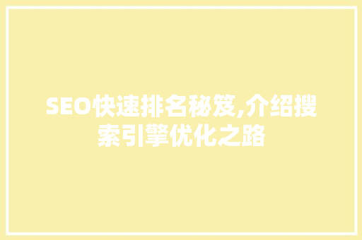 SEO快速排名秘笈,介绍搜索引擎优化之路