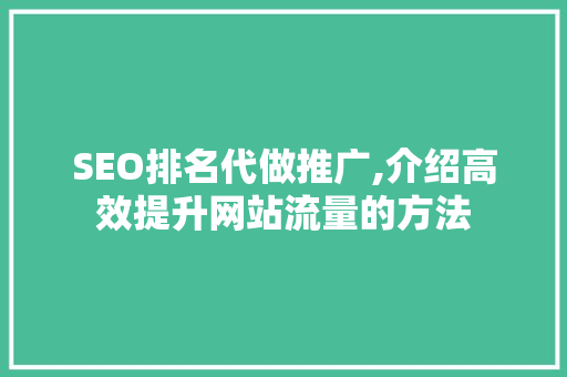 SEO排名代做推广,介绍高效提升网站流量的方法