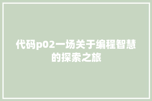 代码p02一场关于编程智慧的探索之旅