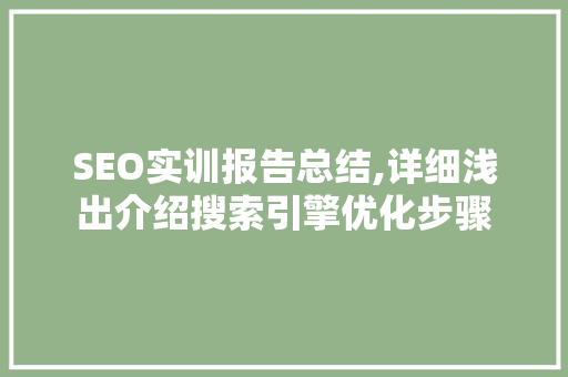 SEO实训报告总结,详细浅出介绍搜索引擎优化步骤
