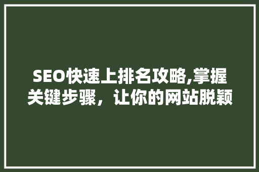 SEO快速上排名攻略,掌握关键步骤，让你的网站脱颖而出