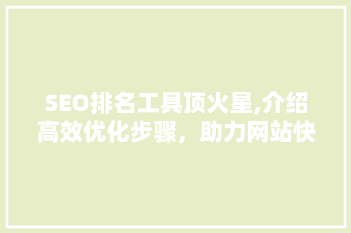 SEO排名工具顶火星,介绍高效优化步骤，助力网站快速提升排名