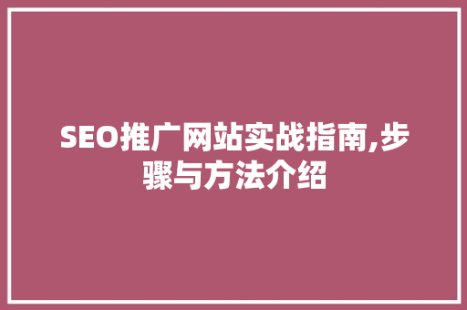 SEO推广网站实战指南,步骤与方法介绍