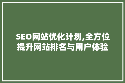 SEO网站优化计划,全方位提升网站排名与用户体验