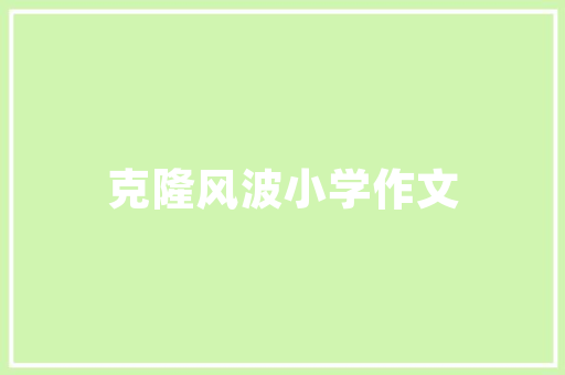 SEO蜘蛛池详细介绍,如何高效打开蜘蛛池，助力网站优化