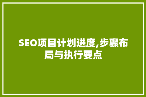 SEO项目计划进度,步骤布局与执行要点
