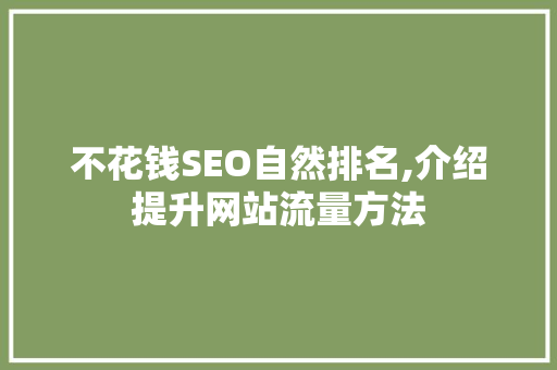 不花钱SEO自然排名,介绍提升网站流量方法