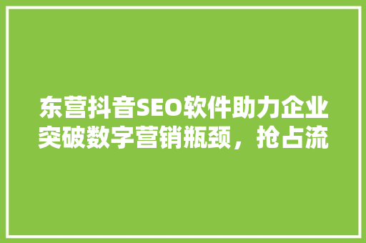 东营抖音SEO软件助力企业突破数字营销瓶颈，抢占流量高地