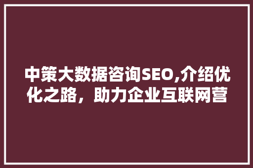中策大数据咨询SEO,介绍优化之路，助力企业互联网营销