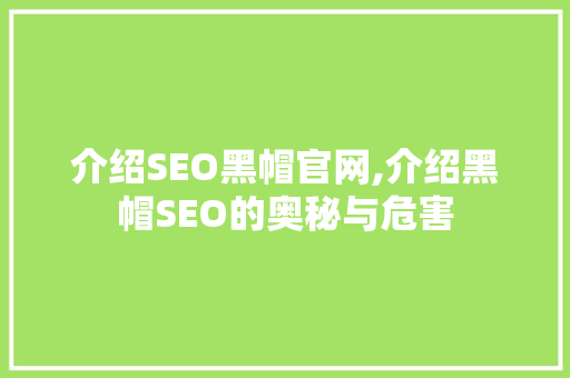 介绍SEO黑帽官网,介绍黑帽SEO的奥秘与危害