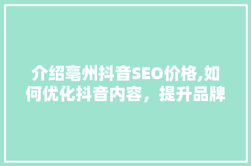 介绍亳州抖音SEO价格,如何优化抖音内容，提升品牌影响力