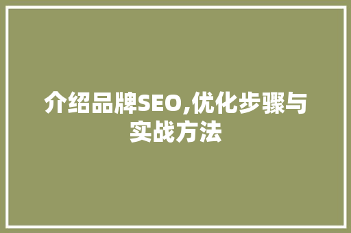 介绍品牌SEO,优化步骤与实战方法