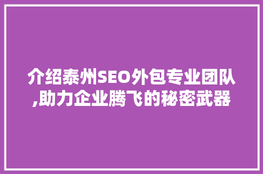 介绍泰州SEO外包专业团队,助力企业腾飞的秘密武器
