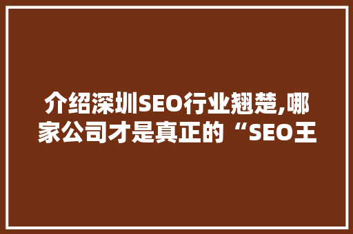 介绍深圳SEO行业翘楚,哪家公司才是真正的“SEO王者”