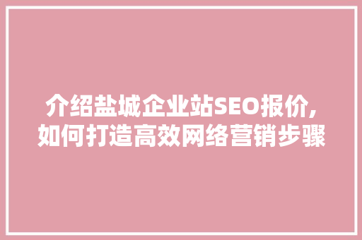 介绍盐城企业站SEO报价,如何打造高效网络营销步骤