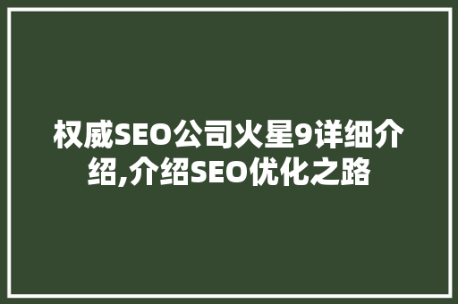 权威SEO公司火星9详细介绍,介绍SEO优化之路