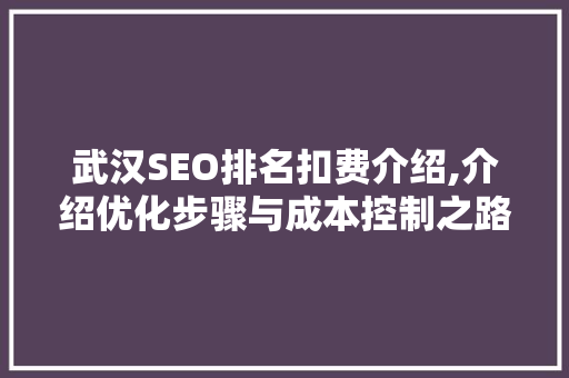 武汉SEO排名扣费介绍,介绍优化步骤与成本控制之路