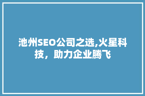 池州SEO公司之选,火星科技，助力企业腾飞