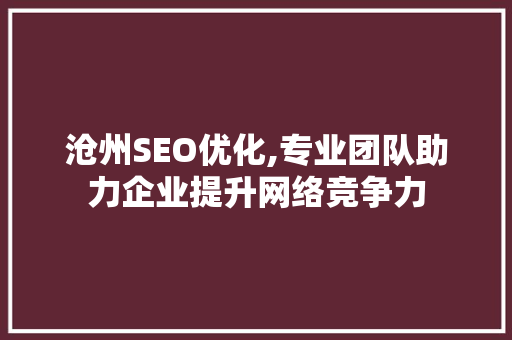 沧州SEO优化,专业团队助力企业提升网络竞争力