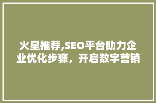 火星推荐,SEO平台助力企业优化步骤，开启数字营销新篇章