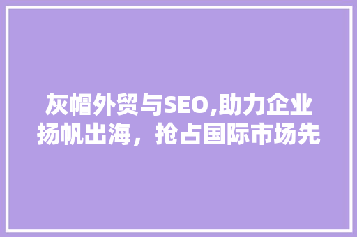 灰帽外贸与SEO,助力企业扬帆出海，抢占国际市场先机