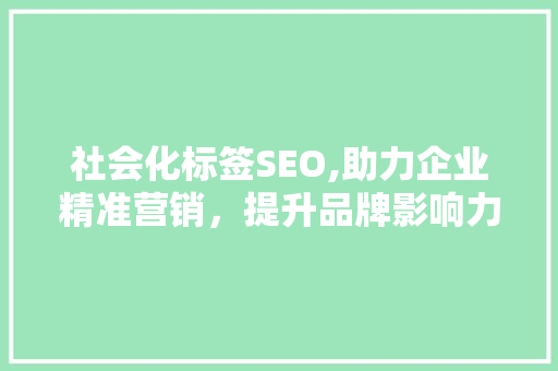 社会化标签SEO,助力企业精准营销，提升品牌影响力