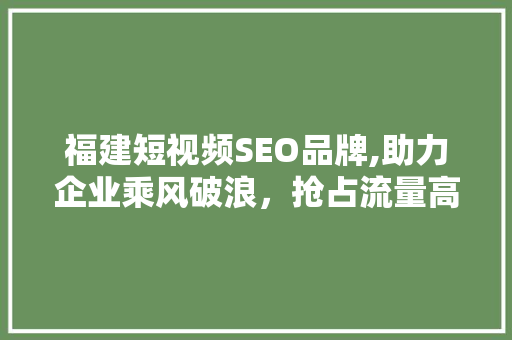 福建短视频SEO品牌,助力企业乘风破浪，抢占流量高地