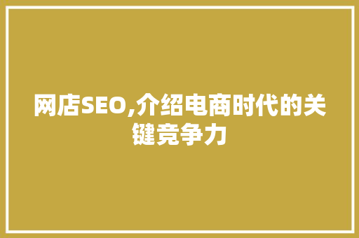 网店SEO,介绍电商时代的关键竞争力  第1张