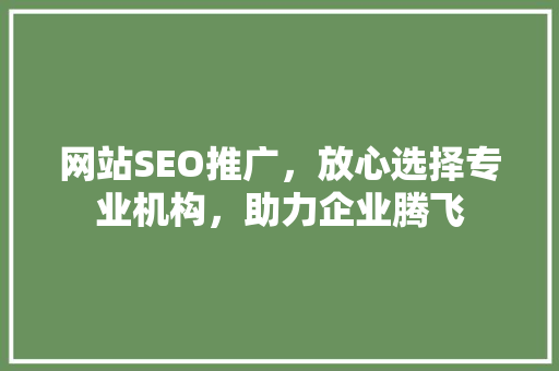 网站SEO推广，放心选择专业机构，助力企业腾飞