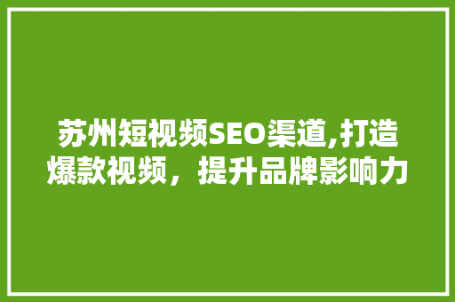 苏州短视频SEO渠道,打造爆款视频，提升品牌影响力
