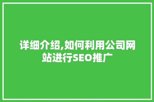 详细介绍,如何利用公司网站进行SEO推广  第1张