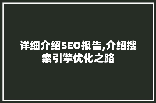 详细介绍SEO报告,介绍搜索引擎优化之路
