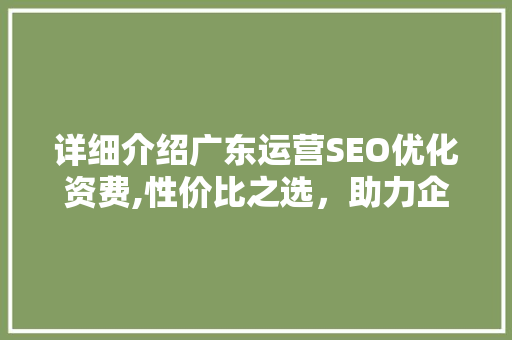 详细介绍广东运营SEO优化资费,性价比之选，助力企业腾飞