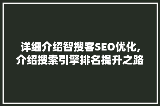详细介绍智搜客SEO优化,介绍搜索引擎排名提升之路