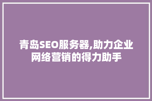 青岛SEO服务器,助力企业网络营销的得力助手