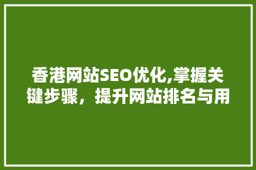 香港网站SEO优化,掌握关键步骤，提升网站排名与用户体验