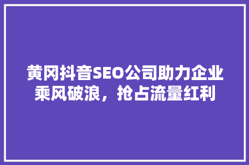 黄冈抖音SEO公司助力企业乘风破浪，抢占流量红利