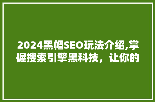 2024黑帽SEO玩法介绍,掌握搜索引擎黑科技，让你的网站迅速崛起！