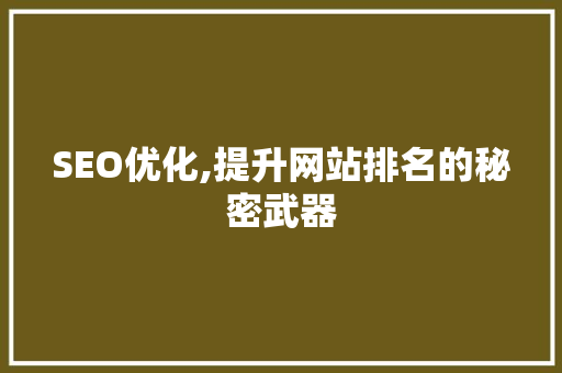 SEO优化,提升网站排名的秘密武器
