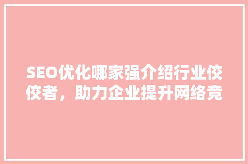 SEO优化哪家强介绍行业佼佼者，助力企业提升网络竞争力