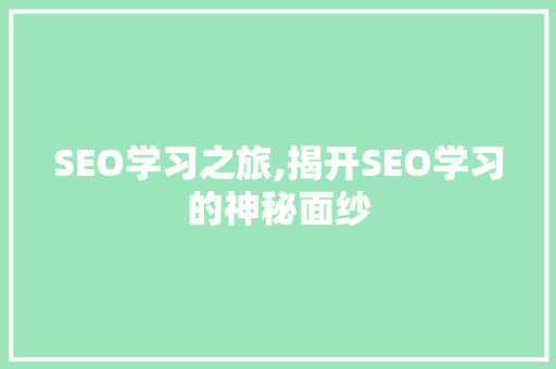 SEO学习之旅,揭开SEO学习的神秘面纱