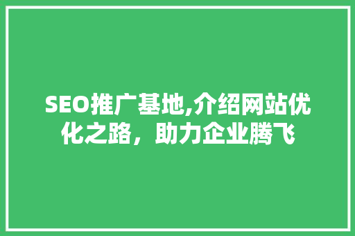 SEO推广基地,介绍网站优化之路，助力企业腾飞