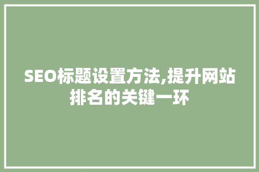 SEO标题设置方法,提升网站排名的关键一环