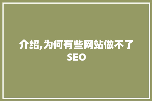 介绍,为何有些网站做不了SEO