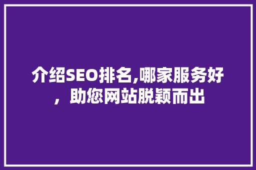 介绍SEO排名,哪家服务好，助您网站脱颖而出