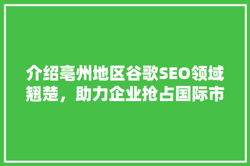 介绍亳州地区谷歌SEO领域翘楚，助力企业抢占国际市场制高点