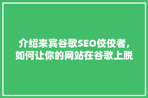 介绍来宾谷歌SEO佼佼者,如何让你的网站在谷歌上脱颖而出