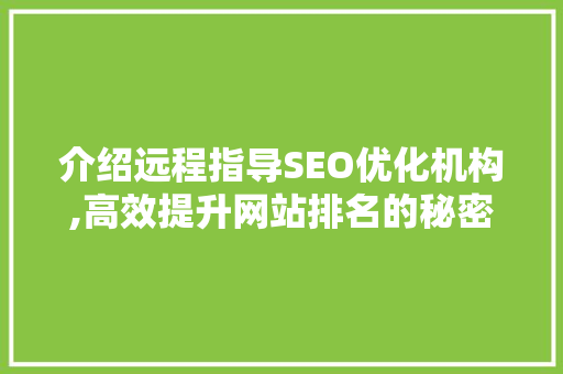 介绍远程指导SEO优化机构,高效提升网站排名的秘密武器